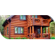 Купить ЗАЩИТНОЕ МАСЛО ДЛЯ ДЕРЕВА WOOD & HOUSE Серия ПРОФИ в Пскове, Псковская область